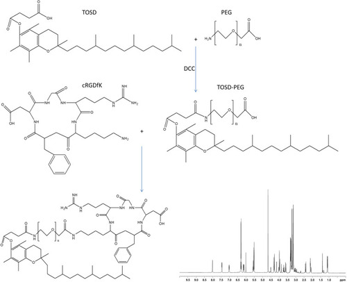 Figure 1 RGD contained ligand was synthesized by conjugating cRGDfK with TOSD using PEG as a linker to obtain cRGDfK-PEG-TOSD. The chemical structures of cRGDfK-PEG-TOSD was confirmed 1H NMR.