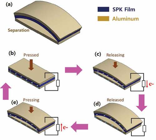 Figure 2. Mechanical manipulation of SPK-Al TENGs at (a) separation state, (b) full contact (pressed), (c) releasing, (d) full separation (released), and (e) contacting again (pressing).