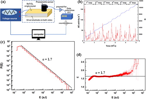 Figure 1. (a) Experimental arrangement of the acoustic emission measurement in BaTiO3. The single-crystal plate had a size of 3.22 × 5.41 × 1.00 mm3. The piezoelectric sensor was attached with a thin layer of grease on the large surface while the electric field was applied in an orthogonal direction. (b) Activity plot of the single crystal during six loops. The red curves show the number of jumps while the blue line indicates the equivalent accumulated activity. The jump activities start with a maximum during each loop, then decay and end a loop with another smaller maximum. The sequences are very reproducible except for the first loop of a virgin crystal, which shows higher initial activities. (c) The probability distribution function shows a power-law distribution. (d) The maximum likelihood graph is used to determine the energy exponent. The energy exponent is 1.7 as average over all loops. Reprinted figure with permission from Ref. [Citation45]. ?2019 by the American Physical Society.