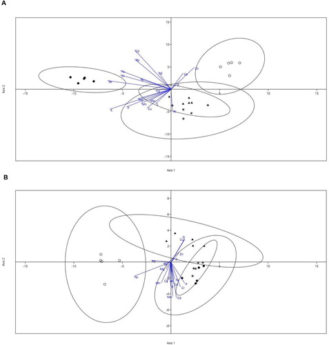 Figure 6. Linear discriminant analysis (LDA) of shoot (A) and root (B) element content by treatment. Symbols represent individual data from Control (open cicles), R. irregularis (closed circles), bacterial strain 18 (triangles) and strain 18+R. irregularis (asteriks) treated plants. Discriminant axis 1 (xx) accounts for 64% and discriminant axis 2 (yy) for 31% of the variance for shoot concentration, and 77% (axis 1) and 13% (axis 2) for root concentration. Ellipses that enclose data points represent regions that include 95% of the theoretical distribution of scores for each treatment. The length of each eigenvector is proportional to the variance in the data for that element.