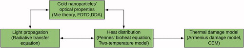 Figure 1. The workflow of the whole photothermal therapy simulation concept.