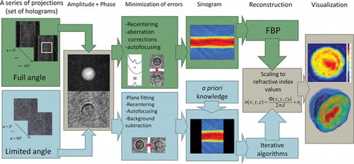 Figure 4 The flow chart of the tomographic procedure from capture to 3-D refractive index determination.