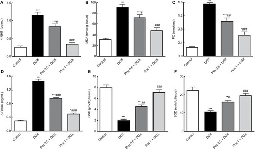 Figure 4 Impact of Pris on DOX-induced oxidative stress and depression of antioxidant parameters in cardiac tissue.Notes: (A) 4-HNE; (B) MDA; (C) PC; (D) 8-OHdG; (E) reduced GSH; (F) SOD. Rats were injected with DOX (2.5 mg/kg) six times over 2 weeks. Pris was administered (0.5, 1 mg/kg, intraperitoneal) once daily for 1 week before and 2 weeks contaminant with DOX injection. Data are means ± standard error (n=8). *P<0.05, **P<0.01, ***P<0.001 vs the control; #P<0.05, ##P<0.01, ###P<0.001 vs the DOX group (one-way ANOVA).Abbreviations: 4-HNE, 4-hydroxynonenal; 8-OHdG, 8-hydroxy-2-deoxyguanosine; DOX, doxorubicin; GSH, glutathione; MDA, malondialdehyde; PC, protein carbonyl; Pris, pristimerin; SOD, superoxide dismutase.
