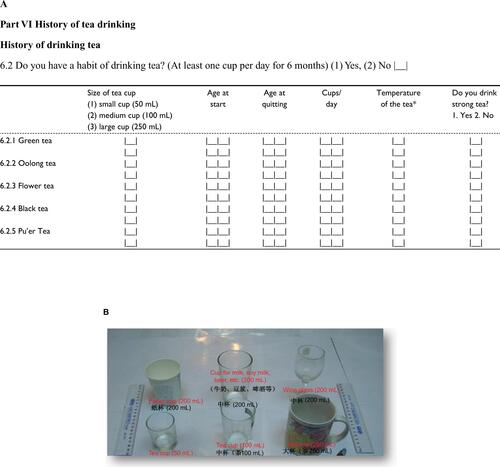 Figure S1 Questionnaire of tea drinking and the related sample images.Notes: (A) The translated questionnaire of tea drinking. *Temperature of the tea: 1) very hot – drink immediately (less than 1 minute); 2) hot – wait for a few minutes before drinking (1–5 minutes); and 3) warm – wait for more than 5 minutes before drinking (more than 5 minutes). (B) The related sample images – the display of tea cup size, and (C) the instruction for defining tea concentration (original text with translations included).