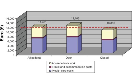 Figure 3 Anatomical type ratio of spina bifida: direct and indirect costs per year.