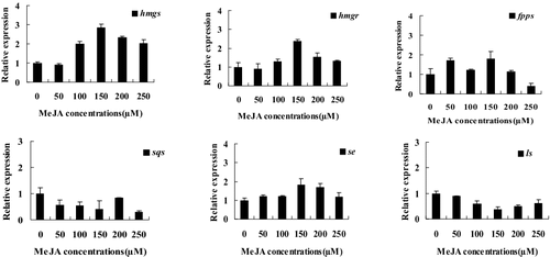 Figure 2. Quantitative real-time PCR analysis of genes involved in the triterpenoid biosynthetic pathway.