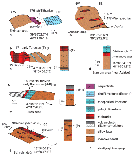 Figure 9. Occurrences of dated radiolarites associated with blocks and dismembered thrust sheets within the volcanic-sedimentary and ophiolitic melange. (a) Upper Tithonian radiolarites spatially associated with basaltic pillow lava (although separated by a thin thrust sheet of sheared serpentinite), E of Erzincan; (b) Pliensbachian radiolarites stratigraphically interbedded with pillow lavas, E of Erzincan; (c) Lower Turonian radiolarites overlying pillow basalt, near Otlukbeli, SW of Bayburt; (d) Valanginian? radiolarites overlying pillow basalt, near Aziziye, Erzurum Region; (e) Late Hauterivian–Early Barremian radiolarites overlying pelagic limestones that, in turn, cover massive basalt, Şahvelet area; (f) Pliensbachian radiolarites stratigraphically interbedded with massive basalt; Şahvelet area. Bedding is recorded as angles of dip and strike. See text for explanation.