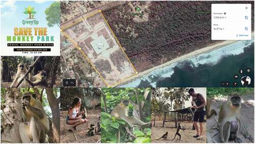 Figure 8. Google earth pro image of monkey/bijilo forest showing parts destroyed and replaced with conference centre. image credit for “save the monkey park”: green-up gambia, 2018 & images of people & monkeys credit: gaultier lefevere & amandine roelandt, facebook post, 2020