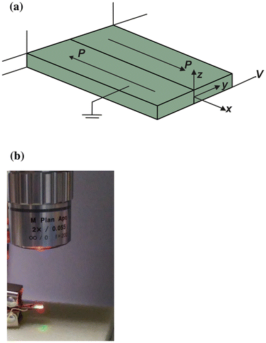 Figure 2. (a) Schematic of the benchmark sample. (b) Experimental setup for characterization of the benchmark using laser vibrometer.