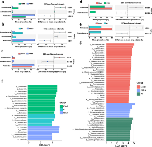 Figure 8. Significant differences in the microbiota of stool DNA and stBEV DNA in different fractions were identified by metagenomic analysis. Investigation of microbial composition differences involved Welch‘s t-test comparisons between (a) F5&6 vs. F8&9, (b) F7 vs. F8&9, (c) Stool vs. F8&9, (d) Stool vs. F5&6, and (e) Stool vs. F7. The left y-axis represents phyla, with mean abundance on the x-axis. Colored dots highlight groups with higher phylum abundance, and error bars depict the 95% confidence intervals for group differences. Significance levels are shown on the right y-axis. LEfSe analysis demonstrated significant bacterial distinctions in fecal microbiota for (f) F5&6 vs. F7 vs. F8&9 and (g) Stool vs. F8&9 vs. PF, with LDA scores (log10) > 4 and P value <0.05 displayed.