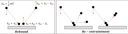 Figure 6. Schematic illustrations of rebound and re-entrainment theory. (Adapted from Paw U Citation1983.)