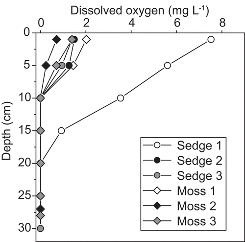 Figure 3. Vertical profile of dissolved oxygen in pore water of the wetland soils. Three independent measurements for sedge- and moss-dominated wetlands were done at the study site in 2014