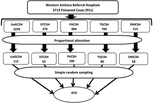 Figure 1 Schematic presentation of sampling procedure of poisoning patients to the emergency department of referral hospitals in Western Amhara 2022.