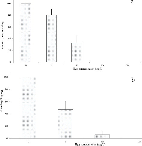 Figure 2. Effects of Hyg concentrations on the regeneration (a) and rooting (b) of drumstick.