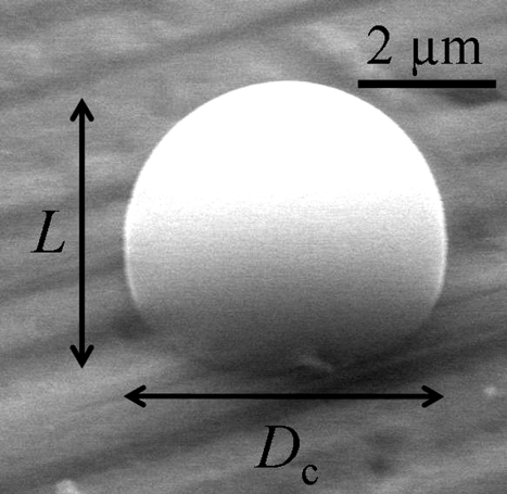 FIG. 2 An image of a spherical cap shape at a tilt angle of 45°. The particle in the image is an (NH4)2SO4 aqueous solution droplet. The tilt axis is in the horizontal direction.