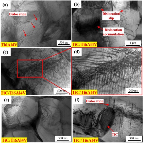 Figure 12. Dislocation morphology of the Ti6Al4 V alloy and TiC/Ti6Al4 V composite: (a) undeformed Ti6Al4 V alloy; (b) undeformed TiC/Ti6Al4 V composites; (c, d, e, f) 15% TiC/Ti6Al4 V composites.