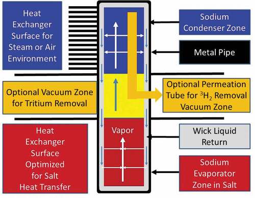 Fig. 13. Heat transfer regions within a heat pipe