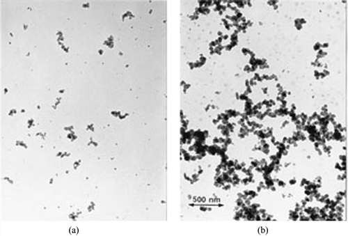 FIG. 3 Particles Sampled from the Upper Buoyancy Dominated Flames for (a) Methane and (b) Acetylene Fuels. The coexistence of precursor particles and soot aggregates is apparent. (Reprinted by permission of Taylor and Francis Books. From R. A. CitationDobbins (1997) p. 112 of Physical and Chemical Aspects of Combustion.)