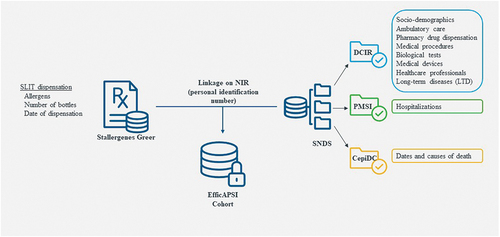 Figure 1. Presentation of databases and linkage.