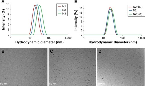 Figure 4 Characterizations of branched copolymer nanoparticles.Notes: Dynamic light scattering analysis in H2O at 25°C of (A) N1, N2, and N3, and (E) N2(tBu), N2, and N2(Gd). Cryo-TEM analysis of (B) N1, (C) N2, and (D) N3.Abbreviation: Cryo-TEM, cryotransmission electron microscopy; N, nanoparticle.