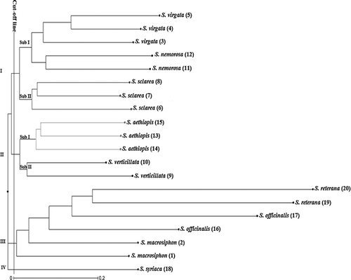 Figure 2. Dendrogram of Salvia accessions based on SCoT data using the neighbour-joining (NJ) method.