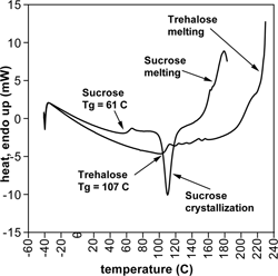 Figure 5 DSC thermogram of amorphous, freeze-dried sucrose and trehalose.