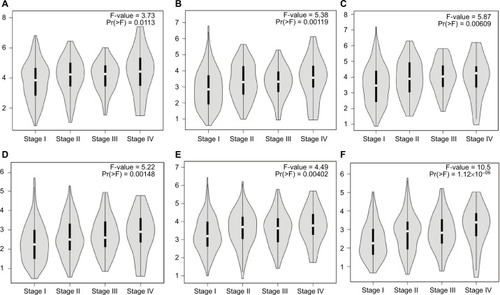 Figure 6 GEPIA violin plots based on pathological stages (A) CENPF; (B) KIF2C; (C) AURKB; (D) BUB1B; (E) CENPU; (F) HMMR in human LAC.Abbreviations: GEPIA, Gene Expression Profiling Interactive Analysis; LAC, lung adenocarcinoma.