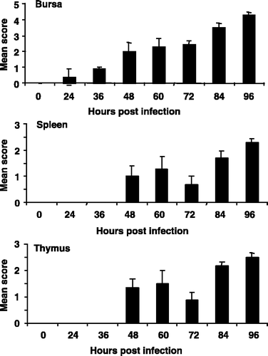 Figure 1. Development of bursal, splenic and thymic pathology caused by IBDV UK661, assessed using the lesion scoring method developed for vvIBDV infection and described in Materials and Methods. Values expressed as the mean±standard error of the mean, n=10.