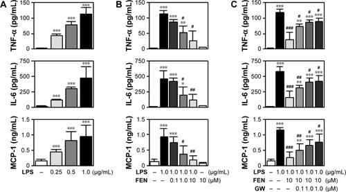 Figure 2 Fenretinide inhibited LPS-induced inflammatory mediators through PPARγ pathway.