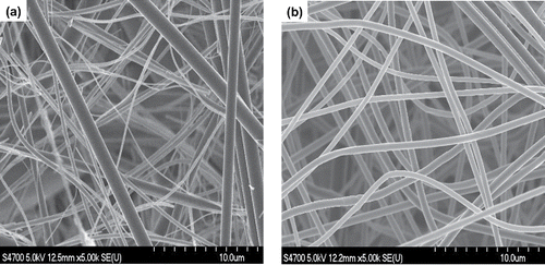 Figure 2. SEM images of (a) filter C and (b) filter D.