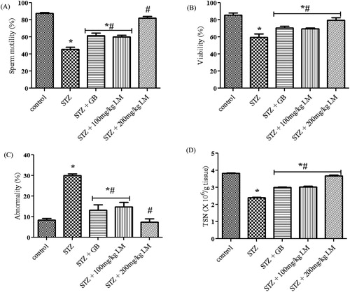 Figure 7. Effects of L. micranthus on sperm parameters in control and STZ-induced diabetic rats. Each bar represents mean ± SEM of eight rats. *p < 0.05 compared to control. #p < 0.05 compared to diabetic control group. STZ, 60 mg streptozotocin; STZ + GB, 60 mg STZ + 5 mg Glibenclamide; STZ + 100 mg, 60 mg STZ + 100 mg LM extract; STZ + 200 mg, 60 mg STZ + 200 mg LM extract.