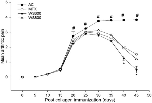 Figure 6. Mean arthritic pain of rats from day 0 to the 45th day post collagen immunization. NC: normal control, AC: arthritic control, MTX: methotrexate (0.3 mg kg−1), WS 600; W. somnifera (600 mg kg−1), WS 800: W. somnifera (800 mg kg−1) treated rats with ± SEM, N = 6, *p < 0.05 versus AC, #p < 0.05 versus NC.