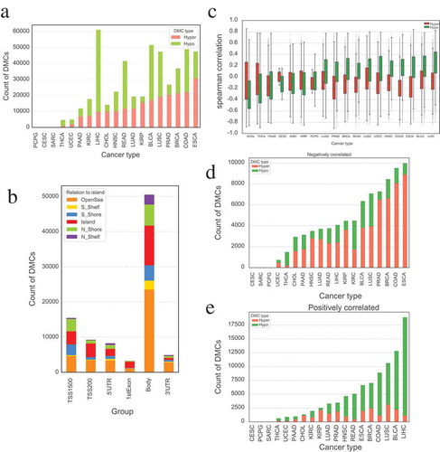 Figure 1. Statistics of differentially methylated probes in different cancers. (a) Countplot of differentially methylated probes in different cancer types. (b) The distribution of differentially methylated probes based on relation to island in different groups. DMCs located at gene body is far more than that of elsewhere, and OpenSea holds a large proportion DMCs between different relations to island. (c) Boxplot of Spearman’s correlation between DNAm of DMCs and expression of their corresponding genes among different cancer types. The aberrant DNAm in different tumors may have different functions. (d) Count of DMCs that are significantly negatively correlated with the expression of their corresponding gene in different cancers. (e) Count of DMCs that are significantly positively correlated with the expression of their corresponding gene in different cancers.