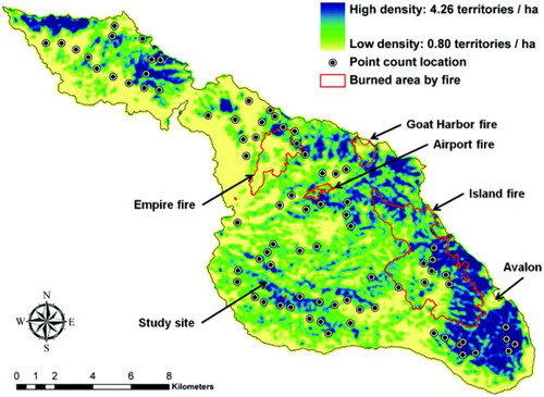 Figure 3. Territory density of breeding Dusky Orange-crowned Warblers on Santa Catalina Island as predicted by the best-fit RT model. Black dots indicate point count survey locations. Red polygons delineate areas burned by wildfires in 1999–2007.