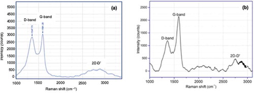 Figure 4. Raman spectrum of samples: (a) AC-H and (b) AC-H-R