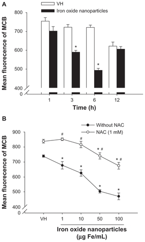 Figure 3 Diminishment of intracellular glutathione in the presence of iron oxide nanoparticles in splenocytes. (A) Splenocytes (5 × 106 cells/mL) were treated with iron oxide nanoparticles (50 μg iron [Fe]/mL) and/or vehicle (VH) followed by stimulation with ovalbumin (100 μg/mL) for 1–12 hours. (B) Splenocytes were treated with iron oxide nanoparticles (1–100 μg Fe/mL) and/or VH, followed by stimulation with ovalbumin (100 μg/mL) for 6 hours in the absence or presence of N-acetyl-L-cysteine (NAC; 1 mM). The levels of intracellular glutathione were measured as monochlorobimane (MCB) fluorescence by flow cytometry.Figure 4 No effect of iron oxide nanoparticles on the intracellular levels of reactive oxygen species. Splenocytes (5 × 106 cells/mL) preloaded with dichlorofluorescin (DCF) diacetate (20 μM) were treated with iron oxide nanoparticles (1–100 μg iron [Fe]/mL) and/or vehicle (VH), followed by stimulation with ovalbumin (100 μg/mL) for 6 hours. The levels of intracellular reactive oxygen species were measured as DCF fluorescence using a microplate reader.Notes: Data are expressed as the mean ± standard error of triplicate cultures. Results are representative of three independent experiments.Display full sizeNotes: Data are expressed as the mean ± standard error of triplicate cultures. *P < 0.05, comparison with matched control group without nanoparticle treatment. #P < 0.05, comparison with matched nonNAC group. Results are representative of three independent experiments.