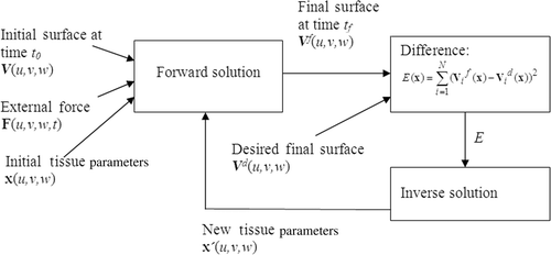 Figure 13. Forward and inverse solution steps.