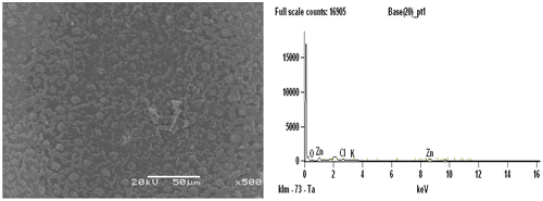 Figure 2. SEM micrograph and the EDS spectra of 1:2 at 1AC500.