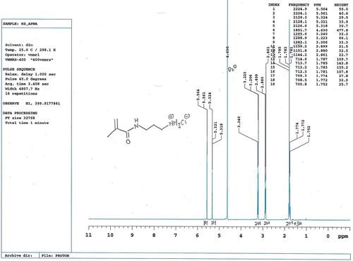 Figure S1 1H NMR of cationic monomer APMA.Abbreviation: APMA, poly(N-3-aminopropyl)methacrylamide; 1H NMR, proton nuclear magnetic resonance.