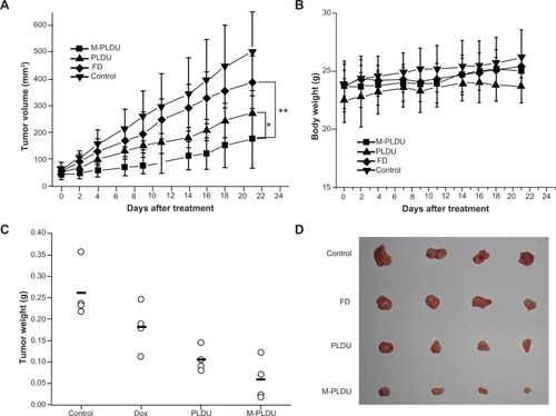 Figure 8 Therapeutic efficacy of M-PLDUs in human pancreatic cancer xenografts. (A) The tumor volume of mice after different treatment (n = 4 in each group, *P < 0.05, **P < 0.01). (B) Mean body weight of each group. (C) Tumor weight at the end of the treatment. (D) Images of tumors collected in each group.