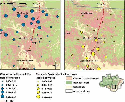 Figure 5. Cattle production (at left) has expanded at the northern reach of the BR-163 in Mato Grosso; soy production (at night) has expanded in the southern municipios, closer to points of export in São Paulo and Paraná states. Changes shown for the period 1998–2008.