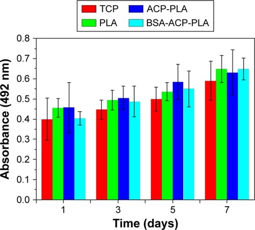 Figure 8 Cell viability studies of MG63 cells grown on the BSA-containing ACP-PLA nanofibers, ACP-PLA nanofibers, PLA nanofibers, and the control of TCP.Abbreviations: BSA, bovine serum albumin; ACP, amorphous calcium phosphate; PLA, poly(d,l-lactic acid); TCP, tissue culture plate.