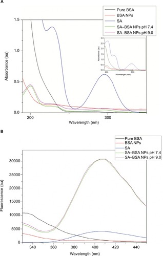 Figure 1 UV–visible absorption and fluorescence emission spectra of pure BSA, BSA NPs, SA-BSA NPs and salicylic acid.