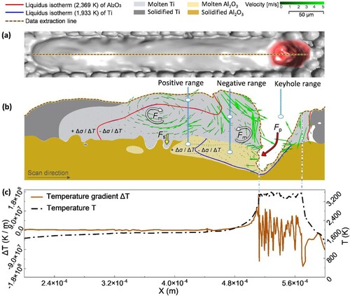Figure 5. Representative simulation result showing (a) plan view of the single track, (b) the melt flow, (c) the temperature and temperature gradient distribution along the cross-section A-A obtained from the single track with L = 250 W and V = 400 mm/s. The data in (c) is taken from the data extraction line shown in (a) and (b). Colour shape code: melt velocity direction – green arrow; Ti isotherm (1,933 K) – red line; Al2O3 isotherm (2,369 K) – blue line; temperature and temperature gradient data extraction line – purple dotted line; molten Ti – light grey area; solidified Ti – dark grey area; molten Al2O3 – light yellow area; solidified Al2O3 – dark yellow area; marangoni force Fm – white arrow; surface tension Fs – yellow arrow; recoil pressure Fp – red arrow; + Δσ / ΔT – the melt to the left of the isotherm; – Δσ / ΔT – the melt to the right of the isotherm.