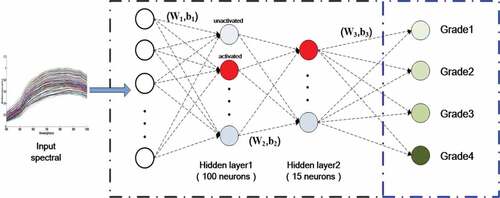 Figure 3. The architecture of sparse auto-encoder network with two hidden layers.