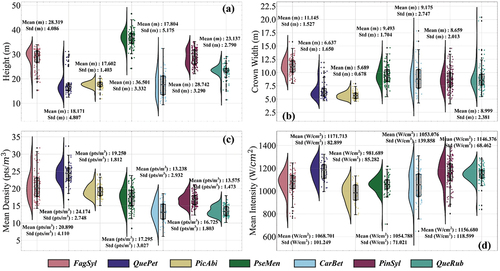 Figure 3. Distribution rain-cloud diagram and statistical details of four characteristics for seven species in the experimental areas. (a) Tree height distribution of the seven species. (b) Crown width distribution of the seven species. (c) Mean density distribution of the seven species. (d) Mean backscattering intensity distribution of the seven species.