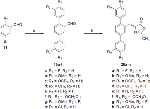 Scheme 4. Reagents and conditions: (a) variously substituted phenylboronic acid, Pd(OAc)2, PPh3, aq. 2 M Na2CO3, toluene, EtOH, 100 °C; (b) N-acetylglycine, Ac2O, CH3COONa, reflux.