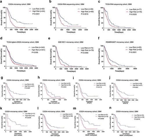 Figure 2. Prognostic value of the interferon signature in GBM. A, The high-risk group exhibited an unfavorable prognosis in GBM of CGGA microarray cohort. In the other five validation cohorts, there was also a significantly shorter survival times in the high-risk group compared with those patients in the low-risk group (B–F). High-risk group patients occupied a significantly reduced overall survival compared with low-risk group patients when stratified by age (G and H), KPS (I and J), IDH1 mutation status (K and L) and MGMT promoter status (M and N) in CGGA microarray cohort.