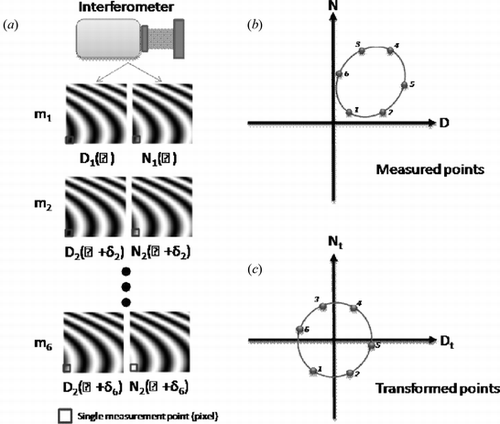 Figure 3 Phase measurement process. (a) On each measurement an interferometer returns two interferograms, each phase shifted approximately 90 degrees with respect to the other. A series of six measurements are made where a phase offset is introduced between the measurements. (b) For a single pixel, highlighted red box, all {D, N} pairs are plotted forming an offset ellipse as shown. From these points a best fit ellipse is determined. C. Using the ellipse fit coefficients, all {D, N} pairs are transformed to lie on a circle centered at the origin. The phase at each point is given by the arctangent of the ratio of the Nt to Dt terms. Steps B. and C. are repeated for all points in the field.