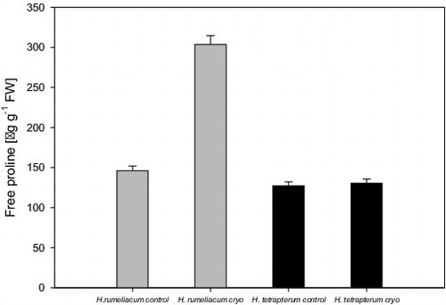 Figure 2. Changes of free proline content in H. rumeliacum and H. tetrapterum under cryopreservation.
